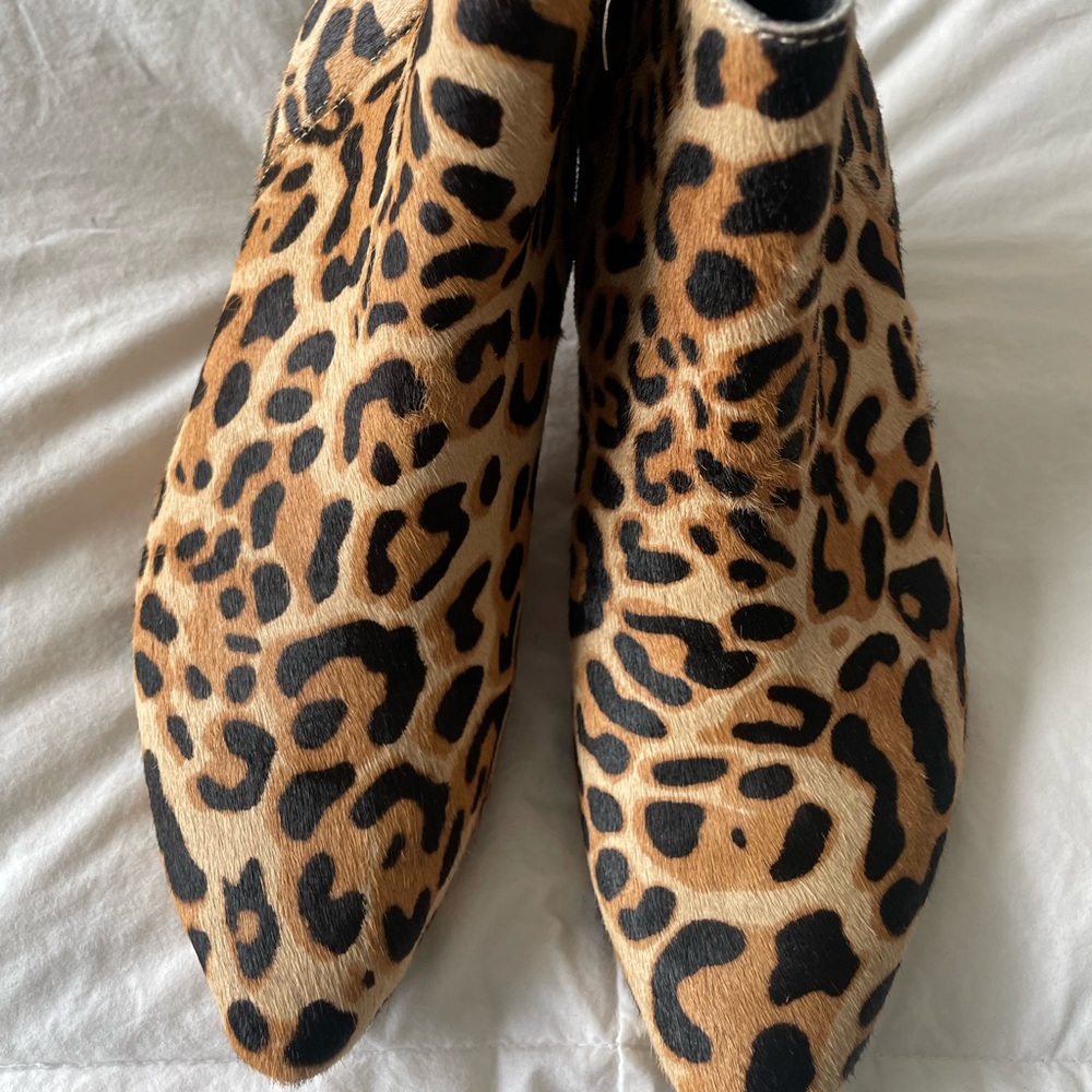 Leopard small heals - Picture 2 of 3